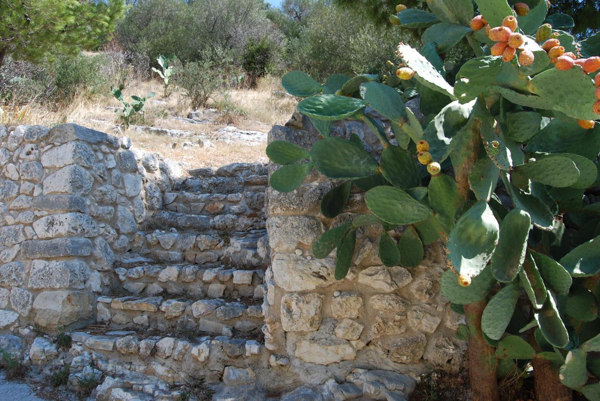 Agriturismo Madonna Incoronata Villa Mattinata Exterior photo